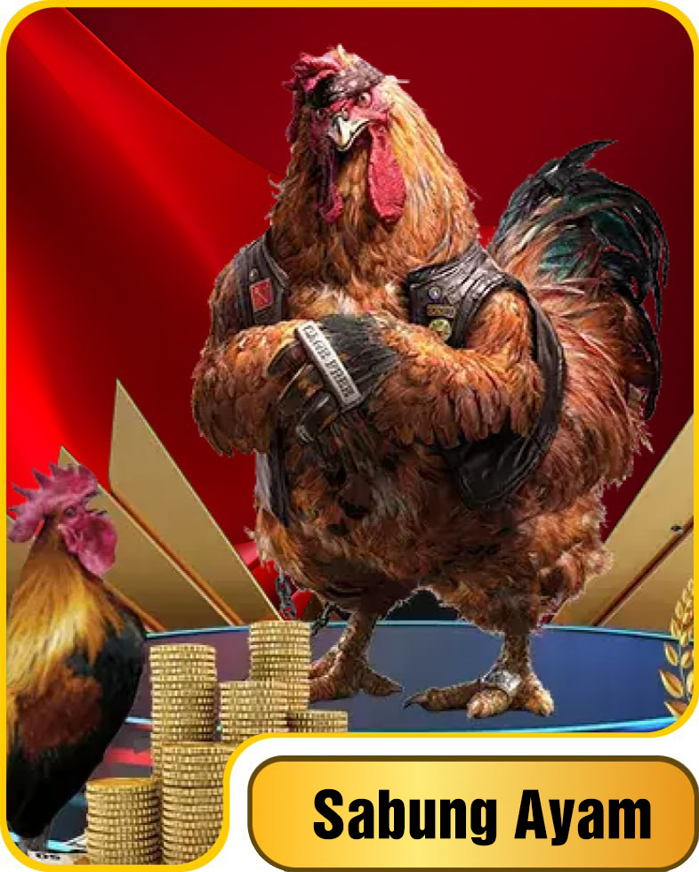 Sabung Ayam